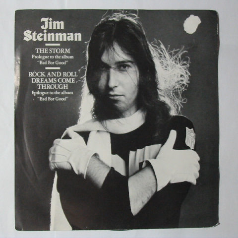 (image for) Steinman, Jim - The Storm / Rock and Roll Dreams Come Through