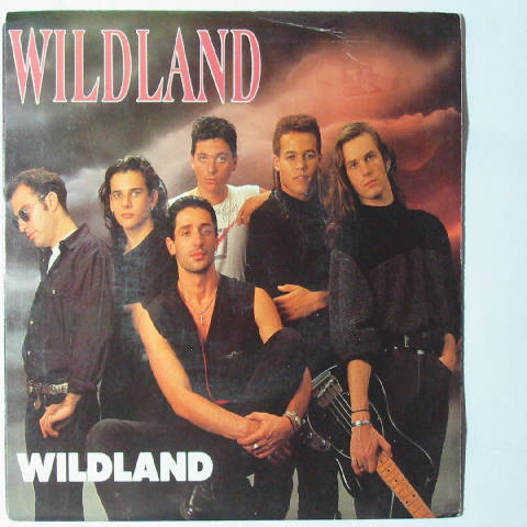 (image for) Wildland - Wildland / Owe It All to You