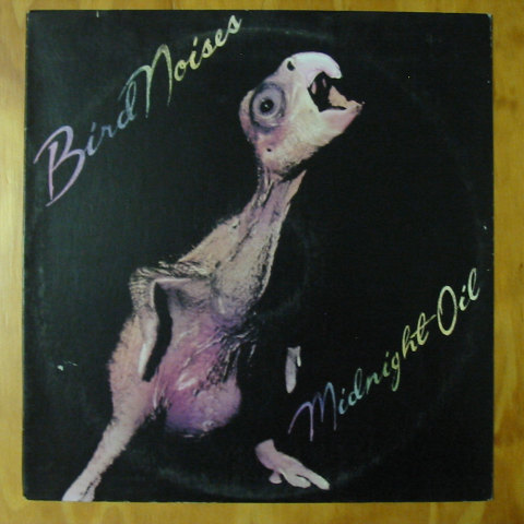 (image for) Midnight Oil - Bird Noises